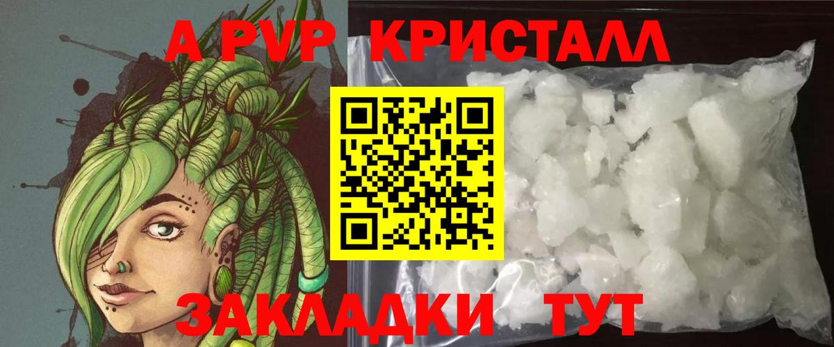 Светлоград  Альфа ПВП крисы CK  A PVP СК КРИС  Вход с VPN 