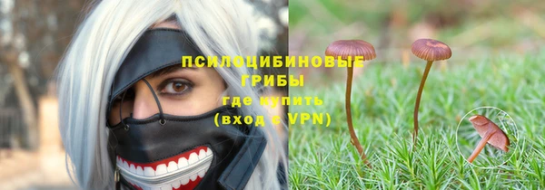 индика Армянск