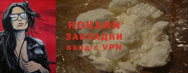 индика Армянск