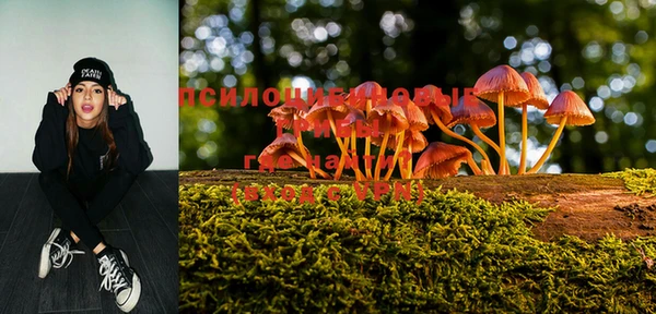 тгк Алексин