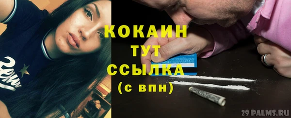 тгк Алексин