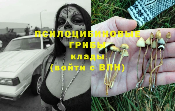 индика Армянск