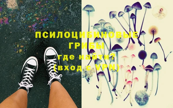 индика Армянск