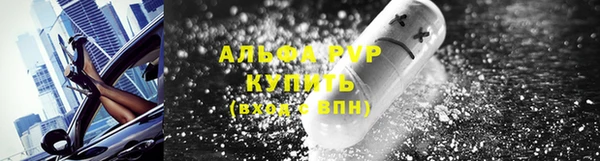 СК Аркадак