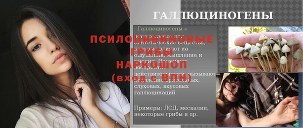 СК Аркадак