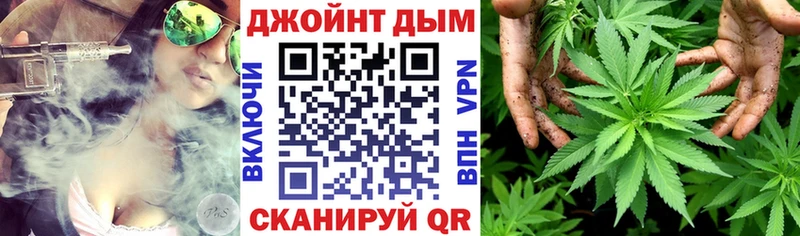 Каннабис семена  дарнет шоп  Светлоград 